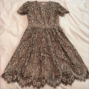 Eliza J Fit & Flare Lace Dress, Size 2